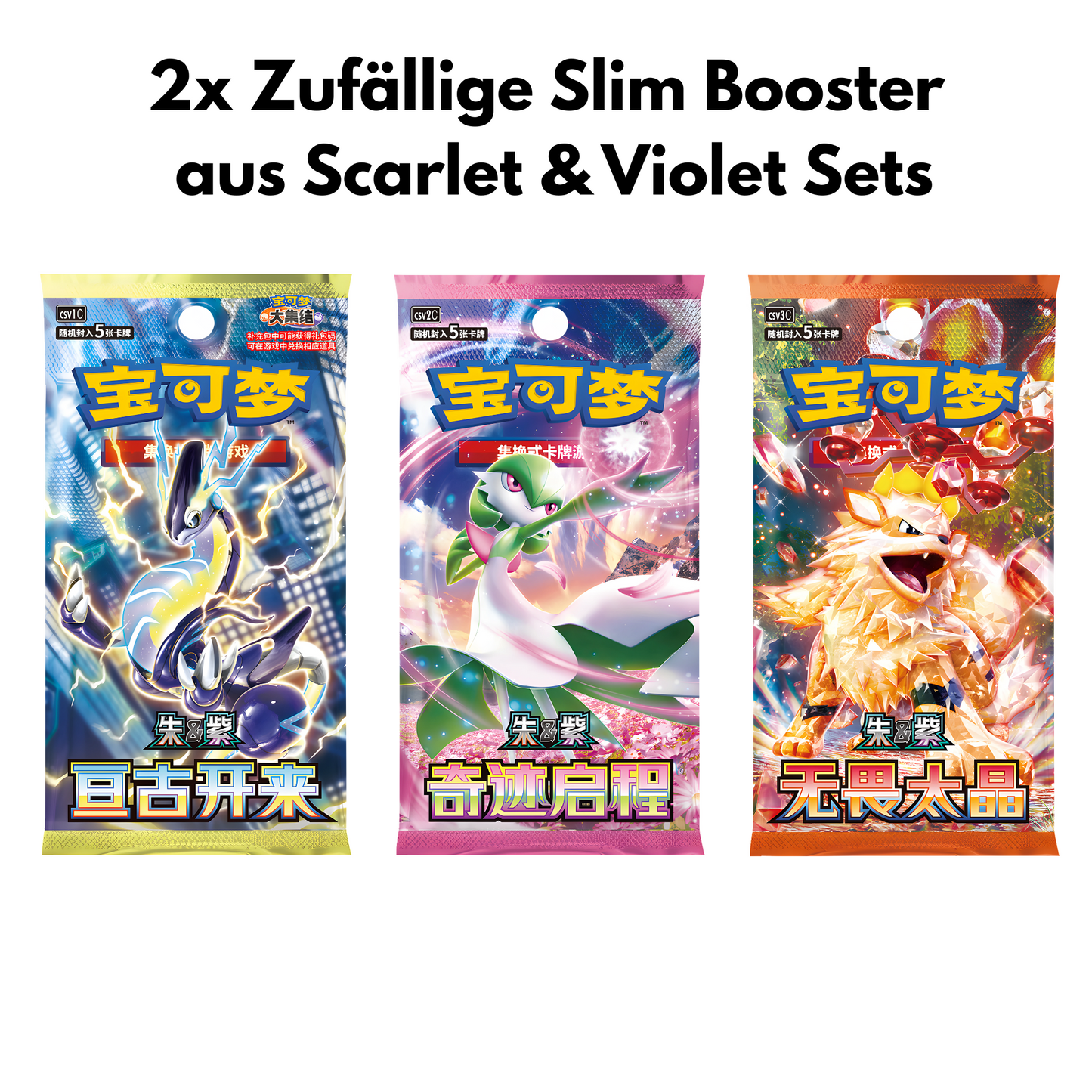 Pokemon Journey Battle Accessories Gift Box (Chinesisch)