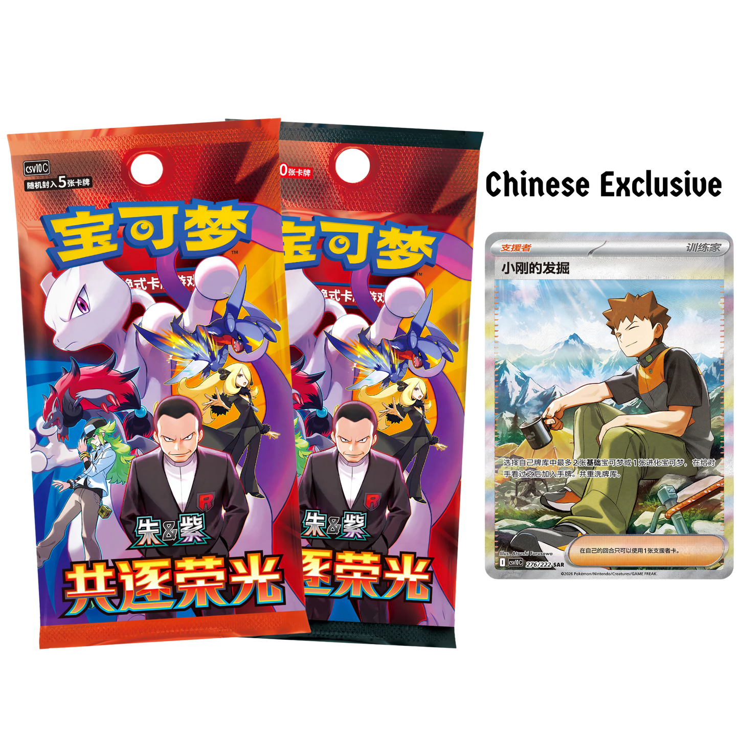 Pokemon Chasing Glory Together Chinesisch