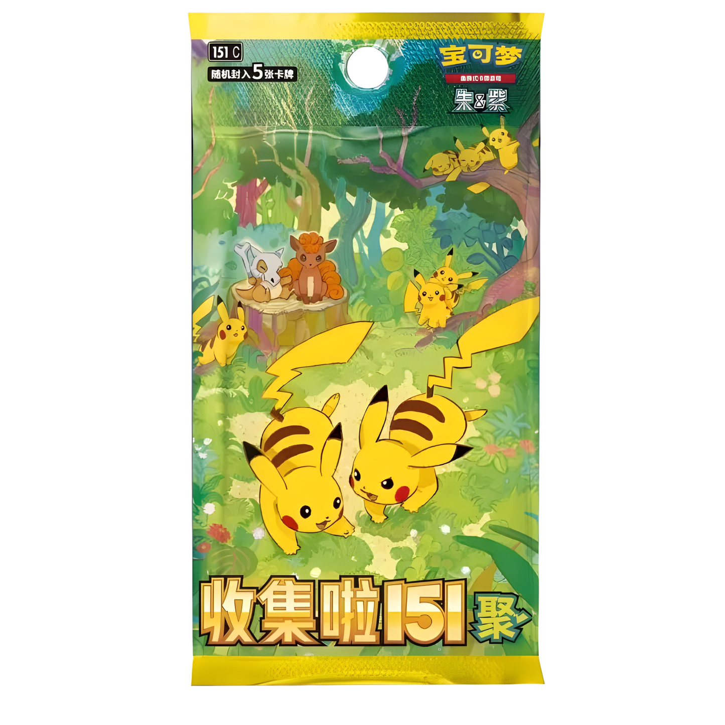 Pokemon Chinesisch Booster