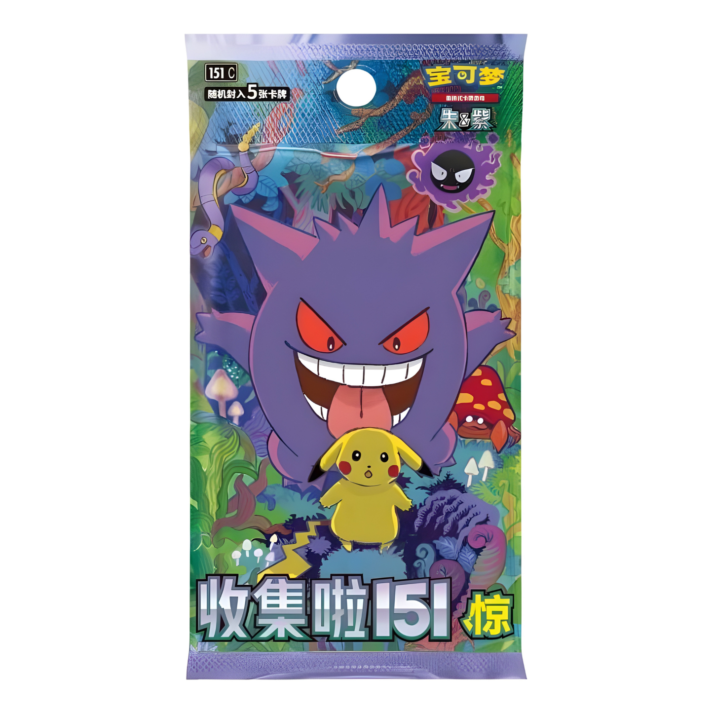 Pokemon Chinesisch Booster